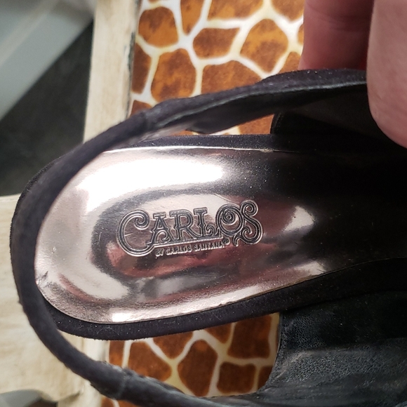 Carlos - Picture 8 of 11